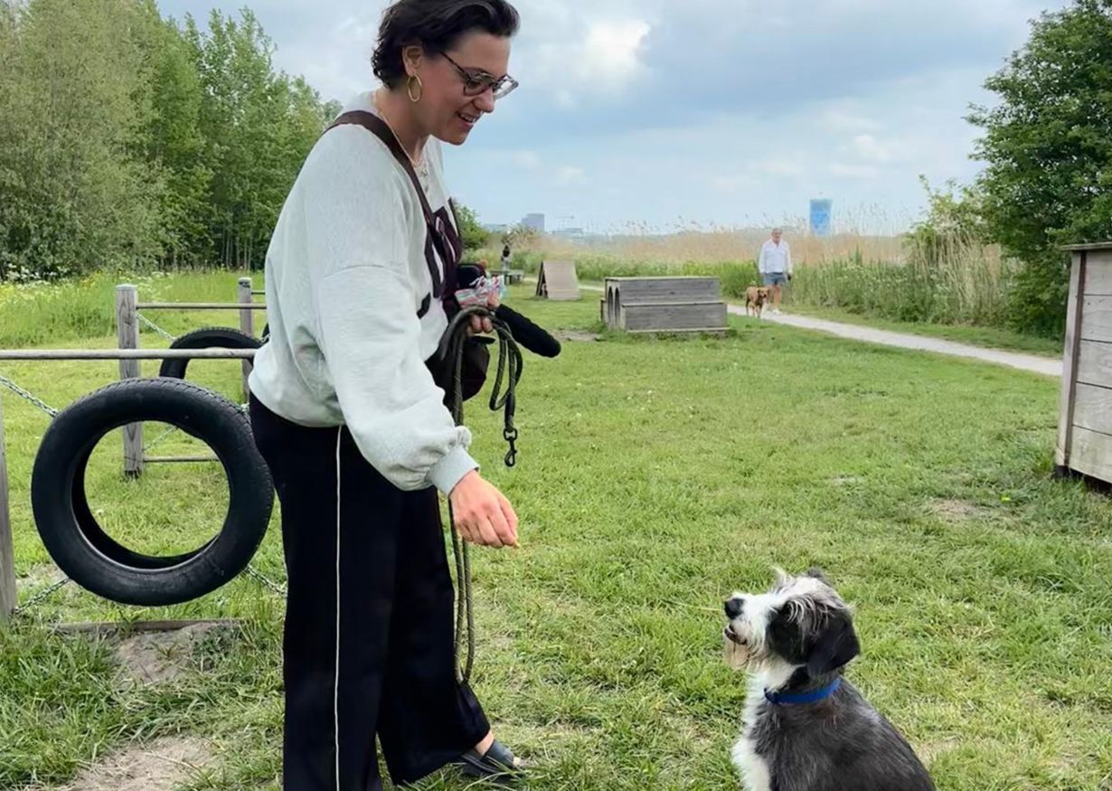 Debby, dog walker on Klickie